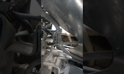 摸卤门会影响大脑发育吗-摸宝宝的卤门有什么影响,中国摸宝宝卤门会变傻吗网站